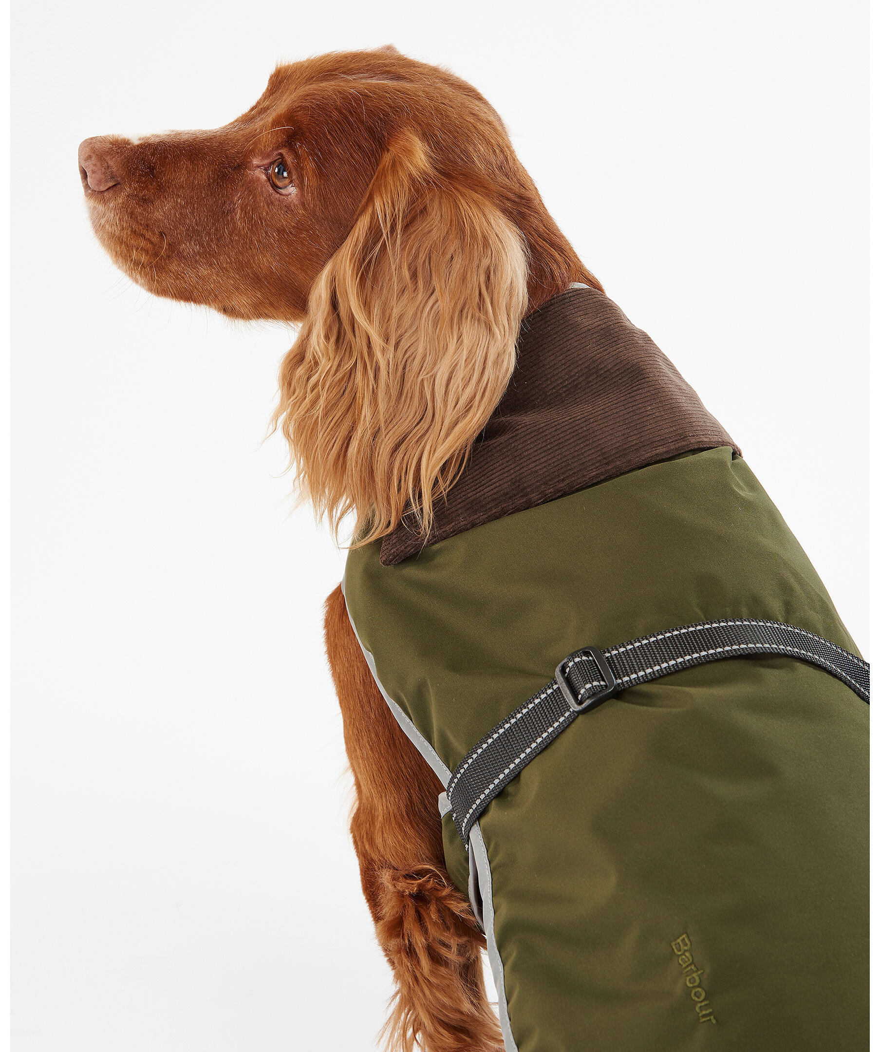 ll bean dog field jacket